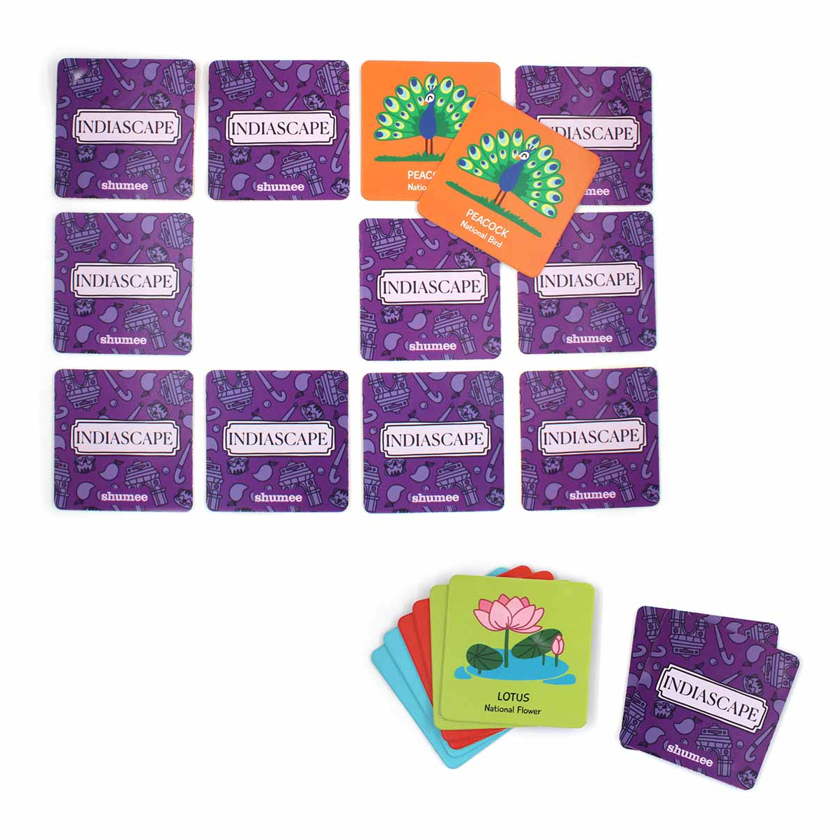 Indiascape Learning Set - Memory Cards, Activity Book, and Puzzle (5 Years+)