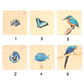 Wooden Pictorial Books- Primary colours (Red & Blue)