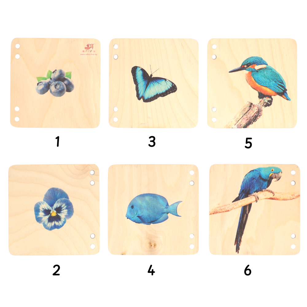 Wooden Pictorial Books- Primary colours (Red & Blue)