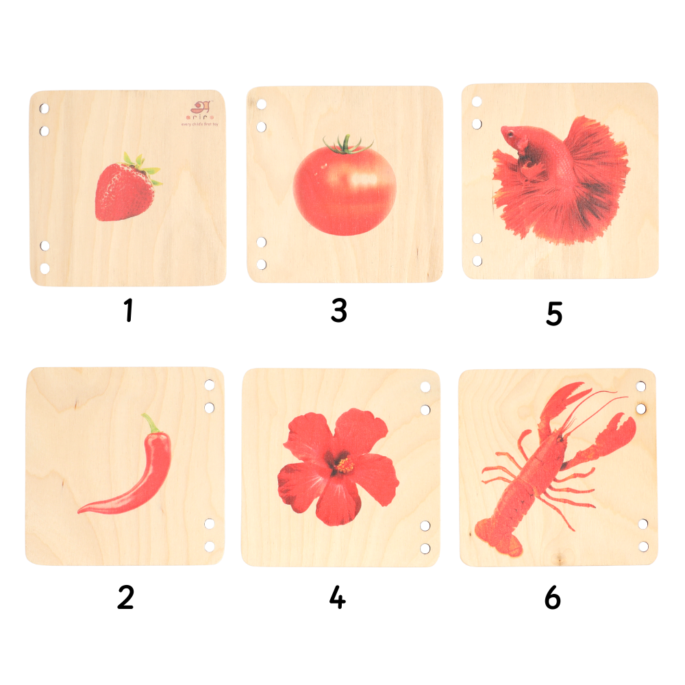 Wooden Pictorial Books- Primary colours (Red & Blue)
