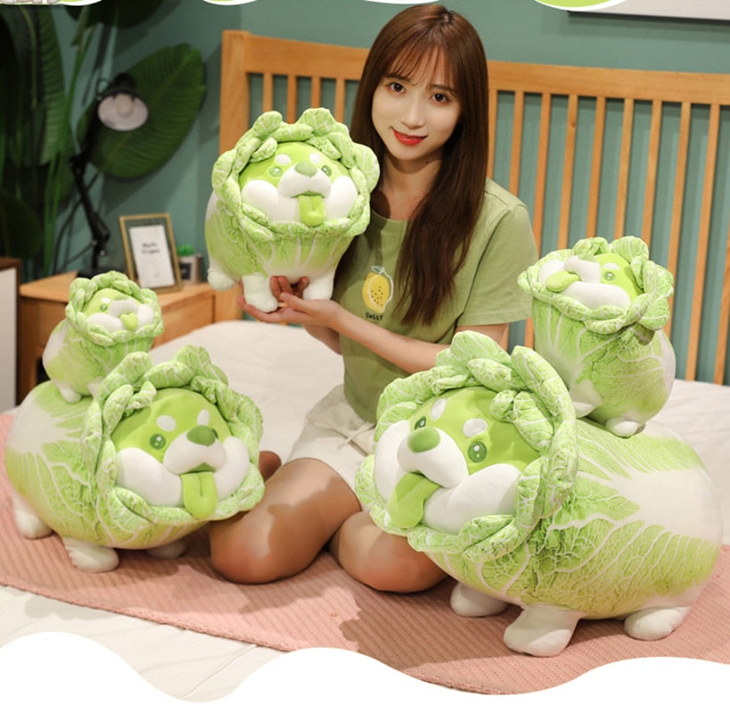 Soft Shiba Inu in Cabbage Costume