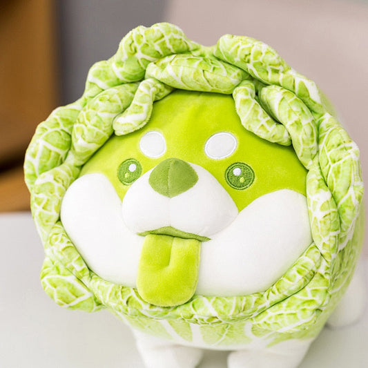 Soft Shiba Inu in Cabbage Costume