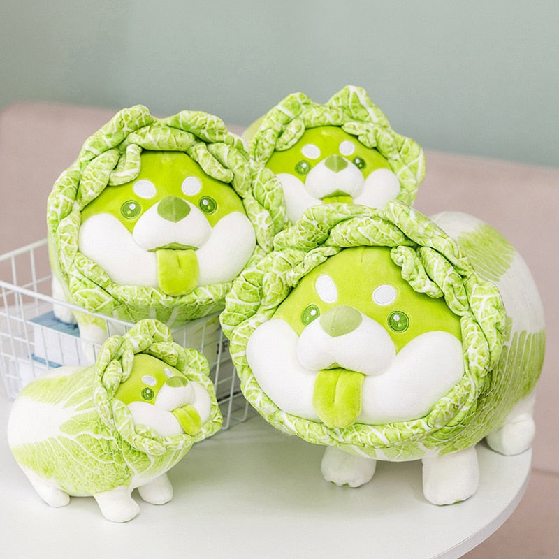 Soft Shiba Inu in Cabbage Costume
