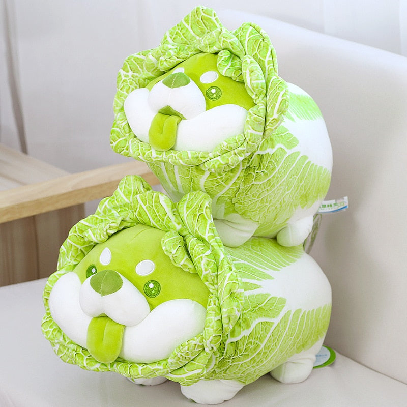 Soft Shiba Inu in Cabbage Costume