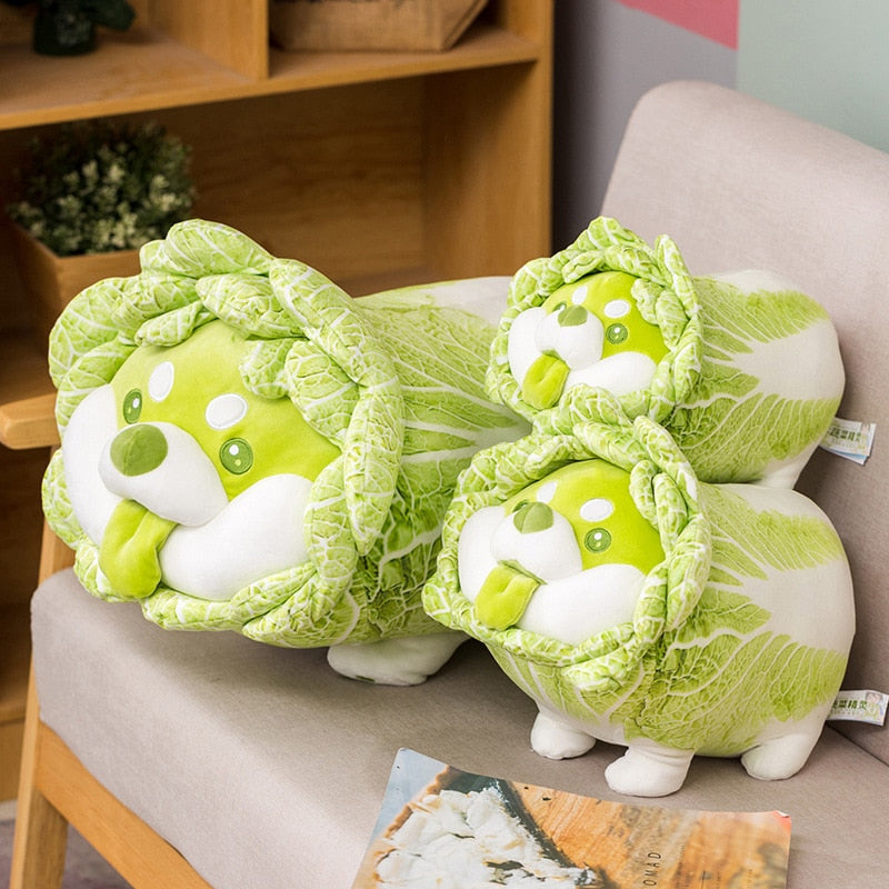 Soft Shiba Inu in Cabbage Costume